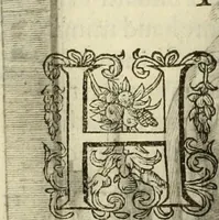 An illustration from Francisci Haraei Annales ducum seu principum Brabantiae totiusq. Belgii : tomi tres : quorum primo solius Brabantiae, secundo Belgii vniti principum res gestae, tertio belgici tumultus, vsque ad inducias anno M. DC. IX. pactas, enarrantur : cum ducum seu principum imaginibus, et breui rerum per omnem Europam illustrium narratione (1623)