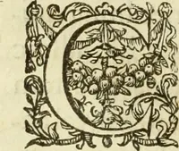 An illustration from Francisci Haraei Annales ducum seu principum Brabantiae totiusq. Belgii : tomi tres : quorum primo solius Brabantiae, secundo Belgii vniti principum res gestae, tertio belgici tumultus, vsque ad inducias anno M. DC. IX. pactas, enarrantur : cum ducum seu principum imaginibus, et breui rerum per omnem Europam illustrium narratione (1623)