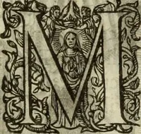 Picture 64 of 92 from Francisci Haraei Annales ducum seu principum Brabantiae totiusq. Belgii : tomi tres : quorum primo solius Brabantiae, secundo Belgii vniti principum res gestae, tertio belgici tumultus, vsque ad inducias anno M. DC. IX. pactas, enarrantur : cum ducum seu principum imaginibus, et breui rerum per omnem Europam illustrium narratione (1623), leaf 307