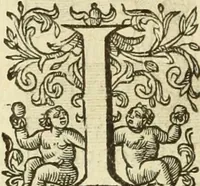An illustration from Francisci Haraei Annales ducum seu principum Brabantiae totiusq. Belgii : tomi tres : quorum primo solius Brabantiae, secundo Belgii vniti principum res gestae, tertio belgici tumultus, vsque ad inducias anno M. DC. IX. pactas, enarrantur : cum ducum seu principum imaginibus, et breui rerum per omnem Europam illustrium narratione (1623)