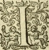 An illustration from Francisci Haraei Annales ducum seu principum Brabantiae totiusq. Belgii : tomi tres : quorum primo solius Brabantiae, secundo Belgii vniti principum res gestae, tertio belgici tumultus, vsque ad inducias anno M. DC. IX. pactas, enarrantur : cum ducum seu principum imaginibus, et breui rerum per omnem Europam illustrium narratione (1623)
