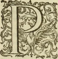 An illustration from Francisci Haraei Annales ducum seu principum Brabantiae totiusq. Belgii : tomi tres : quorum primo solius Brabantiae, secundo Belgii vniti principum res gestae, tertio belgici tumultus, vsque ad inducias anno M. DC. IX. pactas, enarrantur : cum ducum seu principum imaginibus, et breui rerum per omnem Europam illustrium narratione (1623)