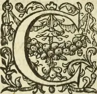 An illustration from Francisci Haraei Annales ducum seu principum Brabantiae totiusq. Belgii : tomi tres : quorum primo solius Brabantiae, secundo Belgii vniti principum res gestae, tertio belgici tumultus, vsque ad inducias anno M. DC. IX. pactas, enarrantur : cum ducum seu principum imaginibus, et breui rerum per omnem Europam illustrium narratione (1623)