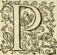 An illustration from Francisci Haraei Annales ducum seu principum Brabantiae totiusq. Belgii : tomi tres : quorum primo solius Brabantiae, secundo Belgii vniti principum res gestae, tertio belgici tumultus, vsque ad inducias anno M. DC. IX. pactas, enarrantur : cum ducum seu principum imaginibus, et breui rerum per omnem Europam illustrium narratione (1623)