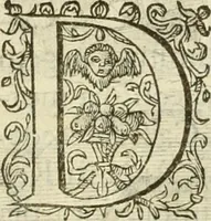 An illustration from Francisci Haraei Annales ducum seu principum Brabantiae totiusq. Belgii : tomi tres : quorum primo solius Brabantiae, secundo Belgii vniti principum res gestae, tertio belgici tumultus, vsque ad inducias anno M. DC. IX. pactas, enarrantur : cum ducum seu principum imaginibus, et breui rerum per omnem Europam illustrium narratione (1623)