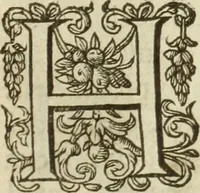An illustration from Francisci Haraei Annales ducum seu principum Brabantiae totiusq. Belgii : tomi tres : quorum primo solius Brabantiae, secundo Belgii vniti principum res gestae, tertio belgici tumultus, vsque ad inducias anno M. DC. IX. pactas, enarrantur : cum ducum seu principum imaginibus, et breui rerum per omnem Europam illustrium narratione (1623)