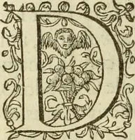 An illustration from Francisci Haraei Annales ducum seu principum Brabantiae totiusq. Belgii : tomi tres : quorum primo solius Brabantiae, secundo Belgii vniti principum res gestae, tertio belgici tumultus, vsque ad inducias anno M. DC. IX. pactas, enarrantur : cum ducum seu principum imaginibus, et breui rerum per omnem Europam illustrium narratione (1623)