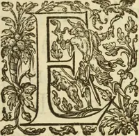 Picture 1 of 92 from Francisci Haraei Annales ducum seu principum Brabantiae totiusq. Belgii : tomi tres : quorum primo solius Brabantiae, secundo Belgii vniti principum res gestae, tertio belgici tumultus, vsque ad inducias anno M. DC. IX. pactas, enarrantur : cum ducum seu principum imaginibus, et breui rerum per omnem Europam illustrium narratione (1623), leaf 8