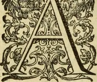 An illustration from Francisci Haraei Annales ducum seu principum Brabantiae totiusq. Belgii : tomi tres : quorum primo solius Brabantiae, secundo Belgii vniti principum res gestae, tertio belgici tumultus, vsque ad inducias anno M. DC. IX. pactas, enarrantur : cum ducum seu principum imaginibus, et breui rerum per omnem Europam illustrium narratione (1623)