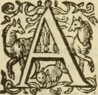 An illustration from Francisci Haraei Annales ducum seu principum Brabantiae totiusq. Belgii : tomi tres : quorum primo solius Brabantiae, secundo Belgii vniti principum res gestae, tertio belgici tumultus, vsque ad inducias anno M. DC. IX. pactas, enarrantur : cum ducum seu principum imaginibus, et breui rerum per omnem Europam illustrium narratione (1623)