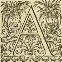 An illustration from Francisci Haraei Annales ducum seu principum Brabantiae totiusq. Belgii : tomi tres : quorum primo solius Brabantiae, secundo Belgii vniti principum res gestae, tertio belgici tumultus, vsque ad inducias anno M. DC. IX. pactas, enarrantur : cum ducum seu principum imaginibus, et breui rerum per omnem Europam illustrium narratione (1623)