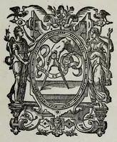 An illustration from Francisci Haraei Annales ducum seu principum Brabantiae totiusq. Belgii : tomi tres, quorum primo solius Brabantiae, secundo Belgii vniti principum res gestae, tertio Belgici tumultus, vsque ad indvcias anno M. DC. IX. pactas, enarrantur : cum dvcvm seu principvm imaginibus, et breui rerum per omnem Evropam illustrium narratione (1623)