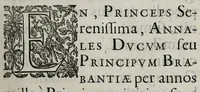 An illustration from Francisci Haraei Annales ducum seu principum Brabantiae totiusq. Belgii : tomi tres, quorum primo solius Brabantiae, secundo Belgii vniti principum res gestae, tertio Belgici tumultus, vsque ad indvcias anno M. DC. IX. pactas, enarrantur : cum dvcvm seu principvm imaginibus, et breui rerum per omnem Evropam illustrium narratione (1623)