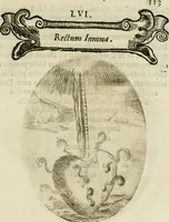 Picture 95 of 155 from Francisci Ponae Cardiomorphoseos, siue, Ex corde desumpta emblemata sacra (1645), leaf 124