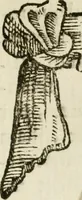 An illustration from Francisci Ponae Cardiomorphoseos, siue, Ex corde desumpta emblemata sacra (1645)