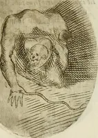 An illustration from Francisci Ponae Cardiomorphoseos, siue, Ex corde desumpta emblemata sacra (1645)