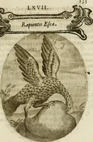 An illustration from Francisci Ponae Cardiomorphoseos, siue, Ex corde desumpta emblemata sacra (1645)