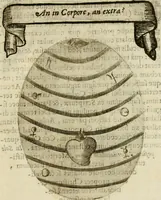 Picture 113 of 155 from Francisci Ponae Cardiomorphoseos, siue, Ex corde desumpta emblemata sacra (1645), leaf 152