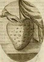 Picture 129 of 155 from Francisci Ponae Cardiomorphoseos, siue, Ex corde desumpta emblemata sacra (1645), leaf 176