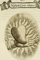 Picture 141 of 155 from Francisci Ponae Cardiomorphoseos, siue, Ex corde desumpta emblemata sacra (1645), leaf 194