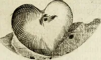 Picture 28 of 155 from Francisci Ponae Cardiomorphoseos, siue, Ex corde desumpta emblemata sacra (1645), leaf 34