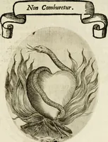 Picture 29 of 155 from Francisci Ponae Cardiomorphoseos, siue, Ex corde desumpta emblemata sacra (1645), leaf 36