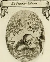 Picture 37 of 155 from Francisci Ponae Cardiomorphoseos, siue, Ex corde desumpta emblemata sacra (1645), leaf 46