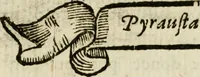 Picture 38 of 155 from Francisci Ponae Cardiomorphoseos, siue, Ex corde desumpta emblemata sacra (1645), leaf 48