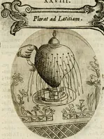 Picture 53 of 155 from Francisci Ponae Cardiomorphoseos, siue, Ex corde desumpta emblemata sacra (1645), leaf 68