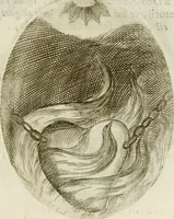 An illustration from Francisci Ponae Cardiomorphoseos, siue, Ex corde desumpta emblemata sacra (1645)