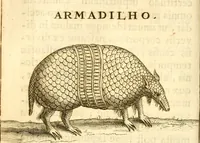 An illustration from Francisci Redi, nobilis Aretini, Experimenta circa res diversas naturales, speciatim illas, quae ex Indiis adferuntur. Ex Italico Latinitate donata (1675)