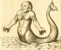 An illustration from Francisci Redi, nobilis Aretini, Experimenta circa res diversas naturales, speciatim illas, quae ex Indiis adferuntur. Ex Italico Latinitate donata (1675)