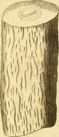 Picture 23 of 35 from Francisci Redi, nobilis Aretini, Experimenta circa res diversas naturales, speciatim illas, quae ex Indiis adferuntur. Ex Italico Latinitate donata (1675), leaf 202