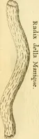 Picture 24 of 35 from Francisci Redi, nobilis Aretini, Experimenta circa res diversas naturales, speciatim illas, quae ex Indiis adferuntur. Ex Italico Latinitate donata (1675), leaf 202