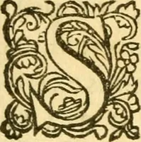An illustration from Francisci Redi, nobilis Aretini, Experimenta circa res diversas naturales, speciatim illas, quae ex Indiis adferuntur. Ex Italico Latinitate donata (1675)