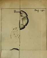 Picture 4 of 41 from Francisci Redi patritii Aretini Experimenta circa generationem insectorum (1671), leaf 158