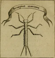 Picture 16 of 41 from Francisci Redi patritii Aretini Experimenta circa generationem insectorum (1671), leaf 356