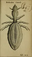 Picture 36 of 41 from Francisci Redi patritii Aretini Experimenta circa generationem insectorum (1671), leaf 426