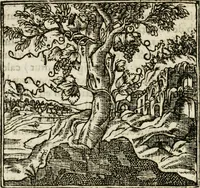 An illustration from Francisci Sanctii Brocensis in inclyta Salmaticensi Academia rhetoricae Graecaeque linguae professoris Comment. in And. Alciati emblemata : nunc denuo multis in locis accurate recognita, & quamplurimis figuris illustrata : cum indice copiosissimo (1573)