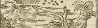 An illustration from Francisci Sanctii Brocensis in inclyta Salmaticensi Academia rhetoricae Graecaeque linguae professoris Comment. in And. Alciati emblemata : nunc denuo multis in locis accurate recognita, & quamplurimis figuris illustrata : cum indice copiosissimo (1573)