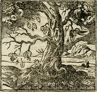 Picture 46 of 217 from Francisci Sanctii Brocensis in inclyta Salmaticensi Academia rhetoricae Graecaeque linguae professoris Comment. in And. Alciati emblemata : nunc denuo multis in locis accurate recognita, & quamplurimis figuris illustrata : cum indice copiosissimo (1573), leaf 169