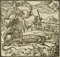 An illustration from Francisci Sanctii Brocensis in inclyta Salmaticensi Academia rhetoricae Graecaeque linguae professoris Comment. in And. Alciati emblemata : nunc denuo multis in locis accurate recognita, & quamplurimis figuris illustrata : cum indice copiosissimo (1573)