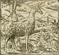 Picture 7 of 217 from Francisci Sanctii Brocensis in inclyta Salmaticensi Academia rhetoricae Graecaeque linguae professoris Comment. in And. Alciati emblemata : nunc denuo multis in locis accurate recognita, & quamplurimis figuris illustrata : cum indice copiosissimo (1573), leaf 20