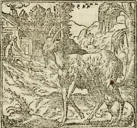 An illustration from Francisci Sanctii Brocensis in inclyta Salmaticensi Academia rhetoricae Graecaeque linguae professoris Comment. in And. Alciati emblemata : nunc denuo multis in locis accurate recognita, & quamplurimis figuris illustrata : cum indice copiosissimo (1573)