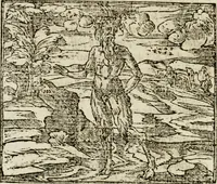 Picture 76 of 217 from Francisci Sanctii Brocensis in inclyta Salmaticensi Academia rhetoricae Graecaeque linguae professoris Comment. in And. Alciati emblemata : nunc denuo multis in locis accurate recognita, & quamplurimis figuris illustrata : cum indice copiosissimo (1573), leaf 239
