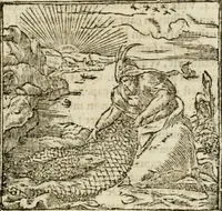 An illustration from Francisci Sanctii Brocensis in inclyta Salmaticensi Academia rhetoricae Graecaeque linguae professoris Comment. in And. Alciati emblemata : nunc denuo multis in locis accurate recognita, & quamplurimis figuris illustrata : cum indice copiosissimo (1573)