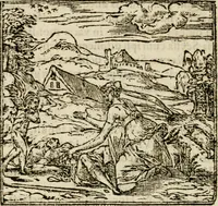 Picture 81 of 217 from Francisci Sanctii Brocensis in inclyta Salmaticensi Academia rhetoricae Graecaeque linguae professoris Comment. in And. Alciati emblemata : nunc denuo multis in locis accurate recognita, & quamplurimis figuris illustrata : cum indice copiosissimo (1573), leaf 251