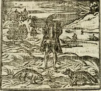An illustration from Francisci Sanctii Brocensis in inclyta Salmaticensi Academia rhetoricae Graecaeque linguae professoris Comment. in And. Alciati emblemata : nunc denuo multis in locis accurate recognita, & quamplurimis figuris illustrata : cum indice copiosissimo (1573)