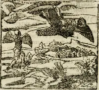 Picture 86 of 217 from Francisci Sanctii Brocensis in inclyta Salmaticensi Academia rhetoricae Graecaeque linguae professoris Comment. in And. Alciati emblemata : nunc denuo multis in locis accurate recognita, & quamplurimis figuris illustrata : cum indice copiosissimo (1573), leaf 265