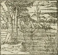 An illustration from Francisci Sanctii Brocensis in inclyta Salmaticensi Academia rhetoricae Graecaeque linguae professoris Comment. in And. Alciati emblemata : nunc denuo multis in locis accurate recognita, & quamplurimis figuris illustrata : cum indice copiosissimo (1573)